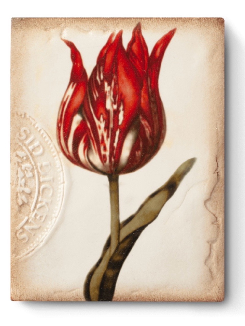 Sid Dickens Red Tulip Canvas Art Print - Botanical Home Art